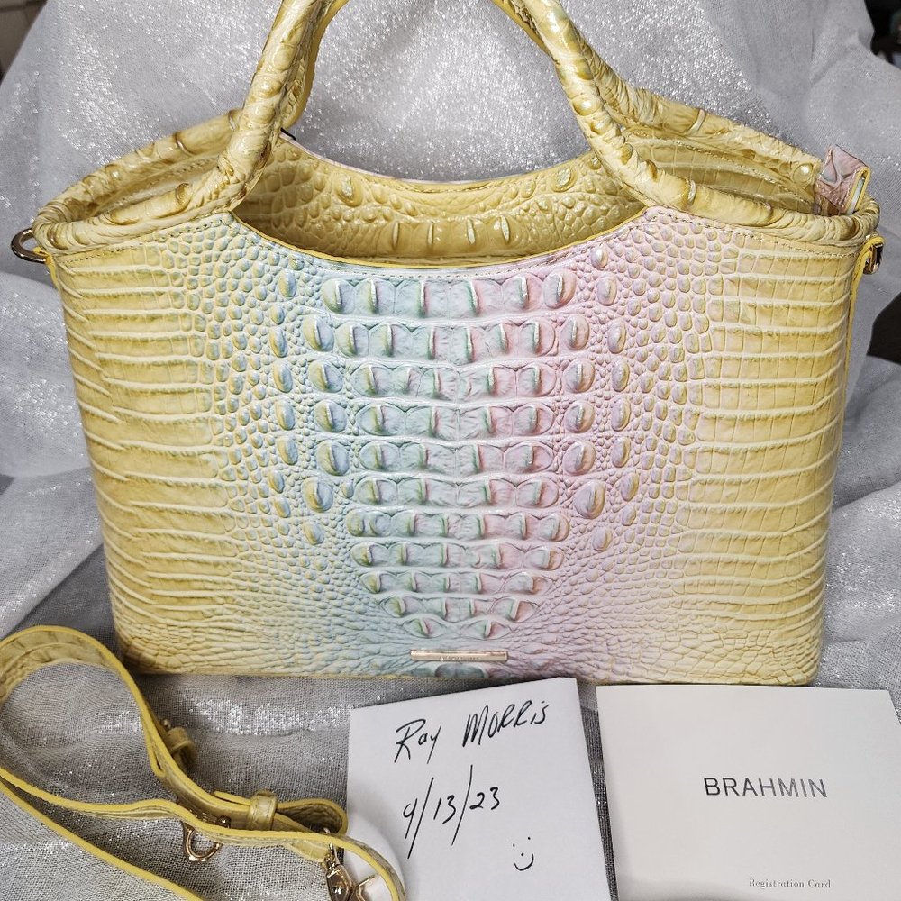 Beautiful Elaine Ombre Daybreak Sastchel by Brahmin!